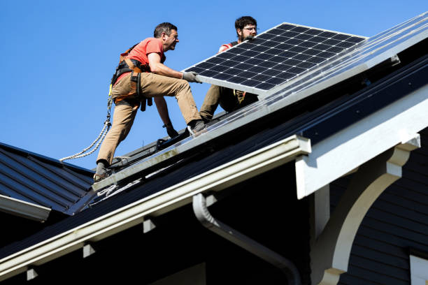 Best Roof Moss and Algae Removal  in Koloa, HI